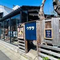 画像1622